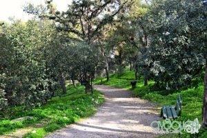 Lofos_Filopappou_5 5