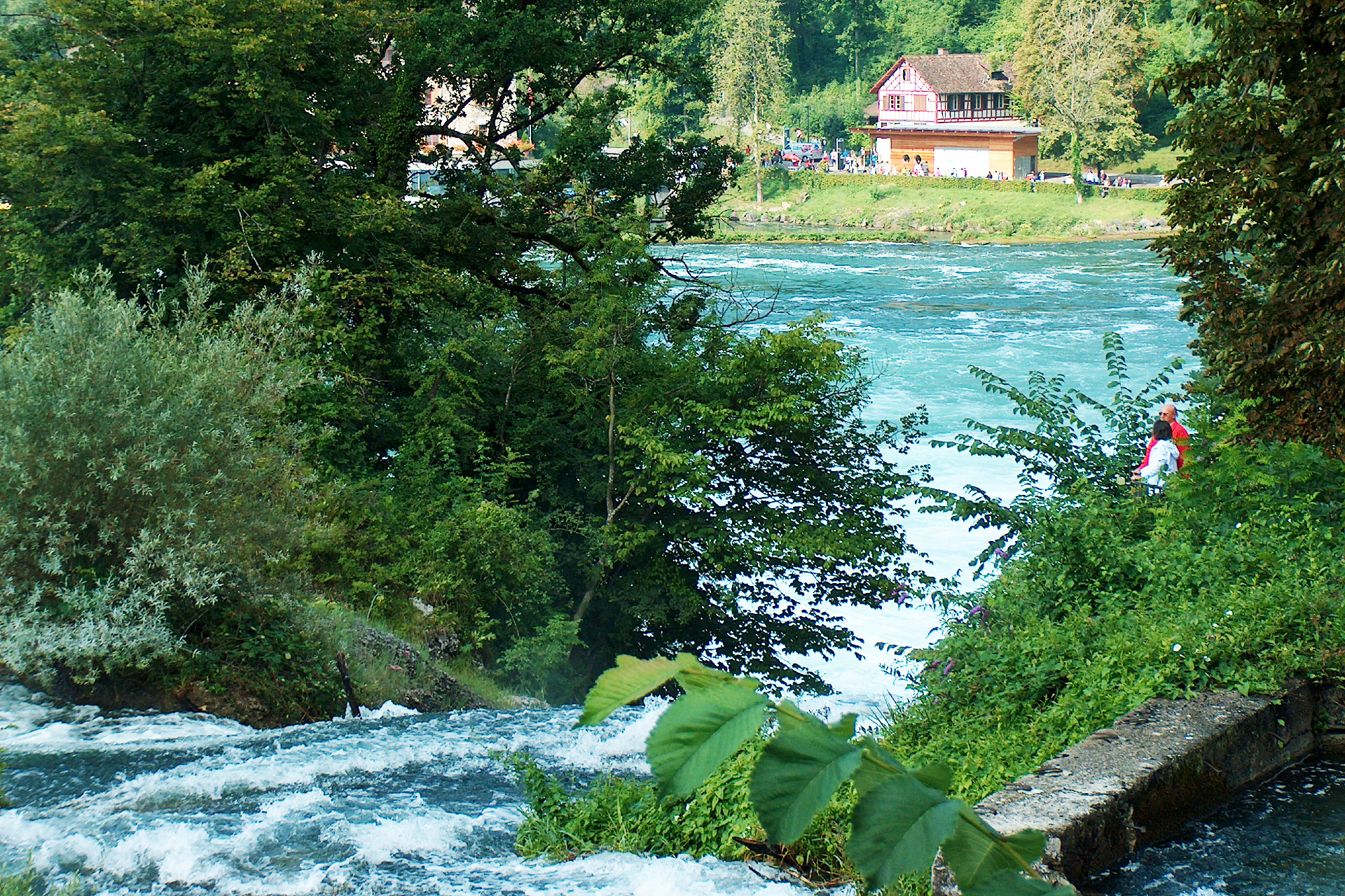 Rheinfall, οι καταρράκτες του Ρήνου 15