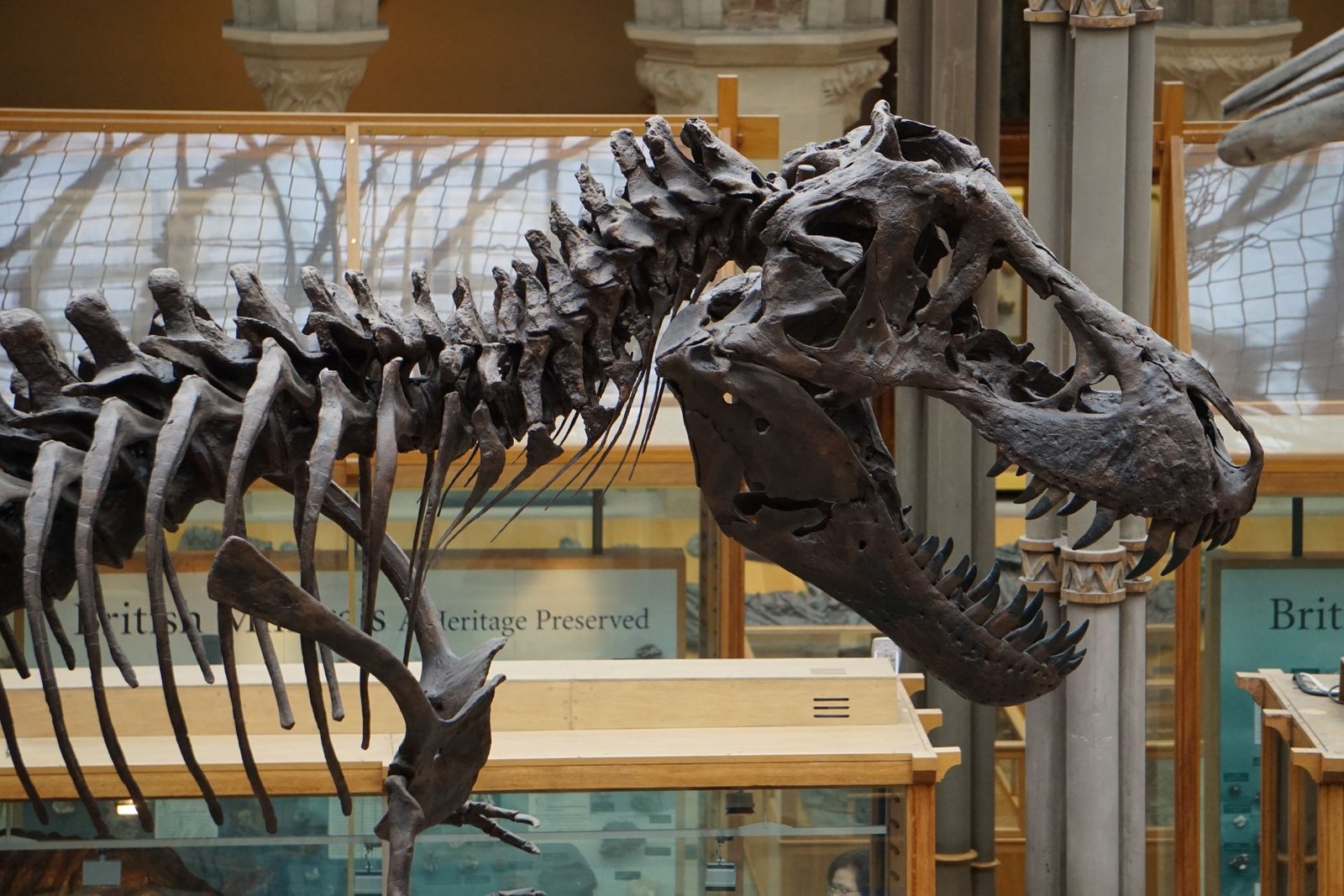 Jurassic Park & Jurassic World για τους λάτρεις των δεινοσαύρων 2 Jurassic Park & Jurassic World για τους λάτρεις των δεινοσαύρων