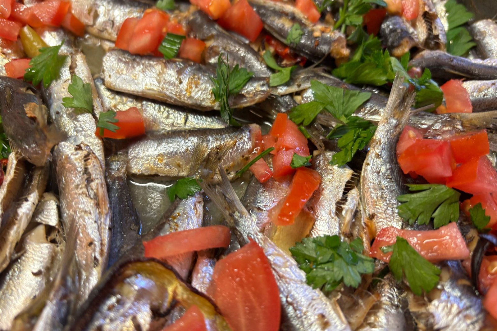 Πρωτεϊνικά γεύματα: Ο πλήρης οδηγός για να χτίσεις μυς, να χάσεις λίπος και να έχεις ενέργεια