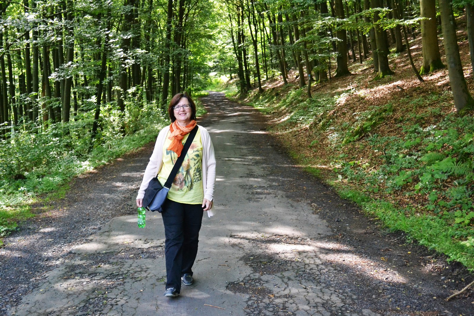 Η πόλη Κάσσελ και το Μνημείο του Ηρακλή 17 Η πόλη Κάσσελ και το Μνημείο του Ηρακλή