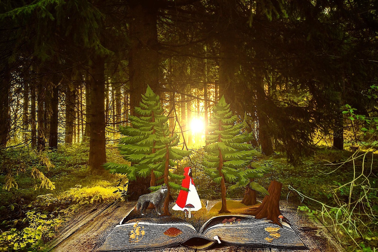 Η πόλη Κάσσελ και το Μνημείο του Ηρακλή 24 Η πόλη Κάσσελ και το Μνημείο του Ηρακλή