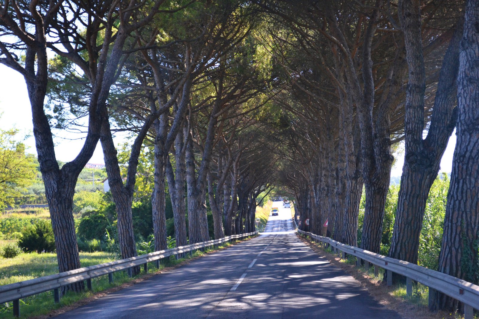 Road trip στη Σλοβενία μέσα σε 8 μέρες 24 Road trip στη Σλοβενία μέσα σε 8 μέρες